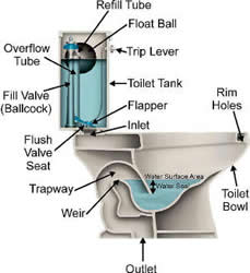 drawing of a toilet and its parts