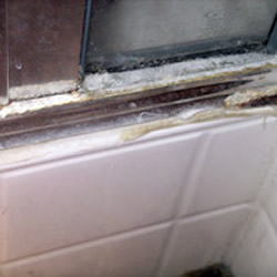 leaking shower door sweep